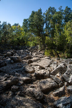 Scattered Ancient Column Fragments and Stone Path in the Wild Forest of Termessos Antique City Antalya Turkey