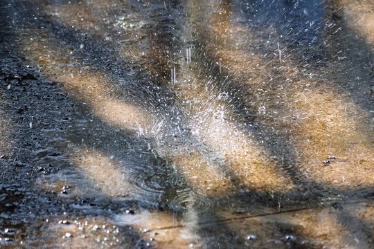 Sunlit water droplets from melting snow spectacularly splash on damp concrete pavement. A dynamic, refreshing scene of early spring thaw and renewal