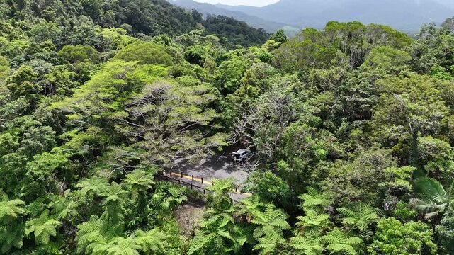 drone shot of beautiful bloomfield road through the daintree rainforest near cape tribulation along the tropical coastline of the pacific ocean in Queensland, a popular travel destination in Australia