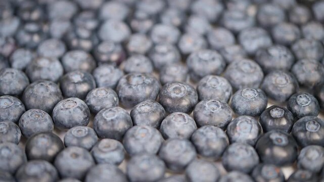 Vivid blueberries featured with delicate lighting and blurred background. Detailed portrayal of clustered blueberries illuminated softly for dietary or packaging imagery