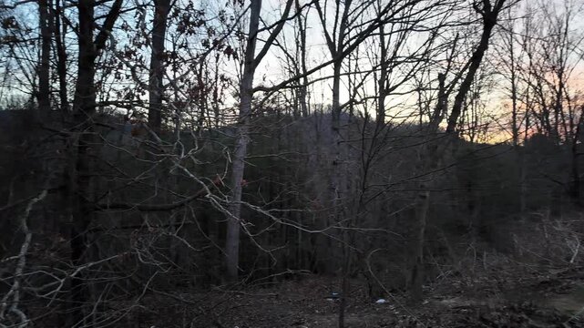 Pan of Bare Forest With Appalachian Foothills in the Distance