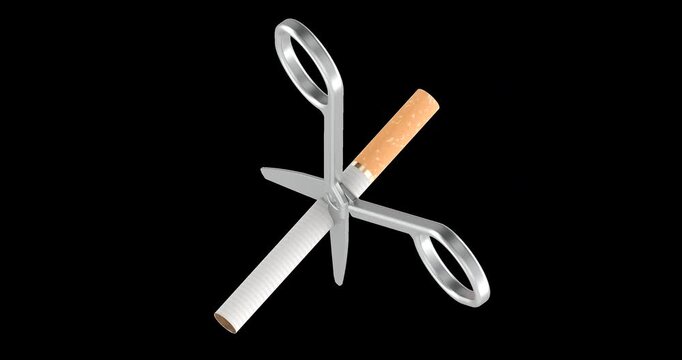 Scissors cutting of cigarette. Stop smoking concept, rotation animation seamlessly loopable. 3D rendering isolated on transparent background