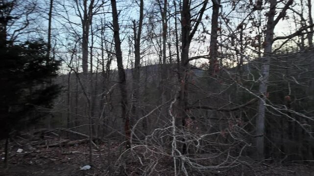 Pan of Bare Forest and Mountains in Appalachian Foothills