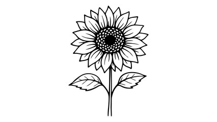 Minimalist black line vector icon illustration of a blooming sunflower with detailed petals and leaves, hand-drawn outline style on a white background, perfect for nature and floral designs. © Bijoy