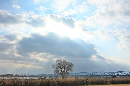 阿賀野川河川敷公園と泰平橋と朝日の風景（新潟県新潟市）