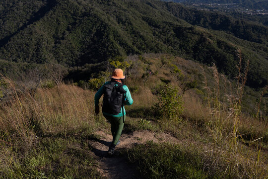 Spring hiking through the mountains and forests of the Caribbean. Mountaineering in Venezuela. The Founding Mothers Trail in Guatire, Miranda State