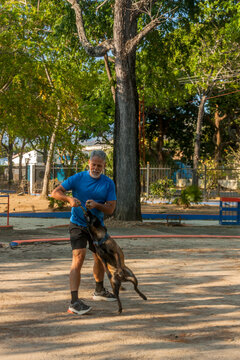 Active senior man training Belgian Malinois dog with tug toy in outdoor park