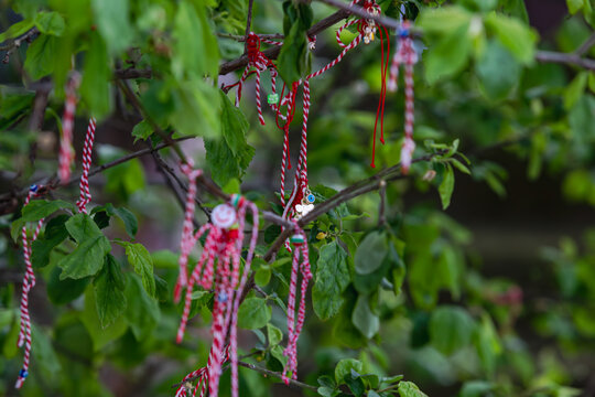 Martenitsa is a red and white striped bracelet string that people wear on their wrists or hang on tree branches as a ritual at the beginning of spring while making wishes.