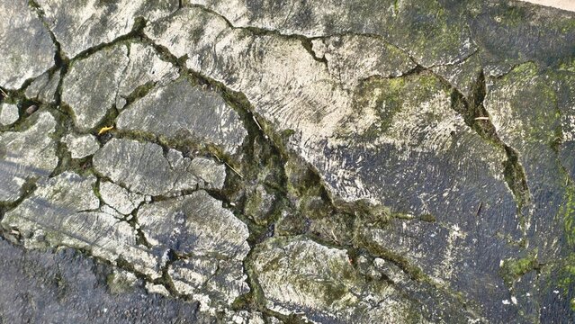 Close-up of a weathered stone wall with cracks and moss, showcasing natural textures and decay.