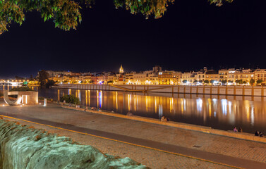 Night view of the Guadalquivir River waterfront with illuminated buildings and reflections in Seville, Spain.