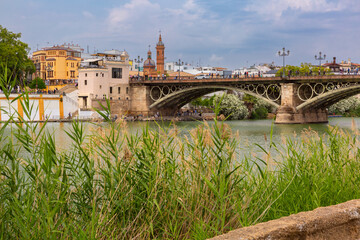 View of Triana Bridge crossing the Guadalquivir River with riverside buildings and city details in Seville, Spain under cloudy sky.