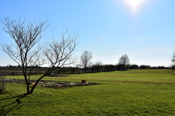 Obraz premium Lawn