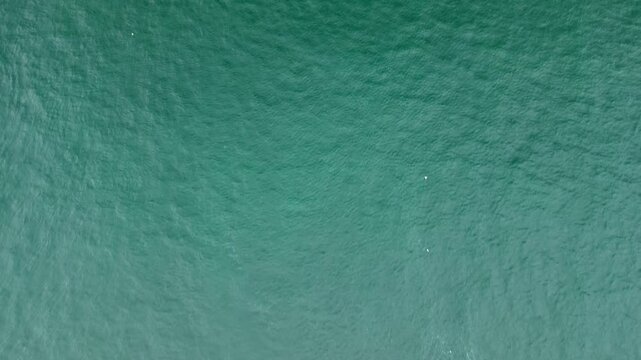 Grand Mecidiye Ortakoy Mosque with martyrs bridge in the back reveal shot