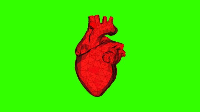 heart animation on chroma key