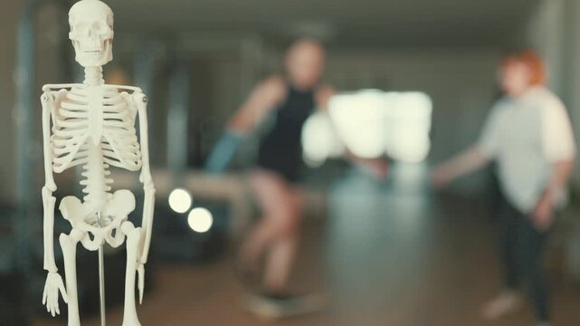 Anatomical skeleton model with people exercising in a gym
