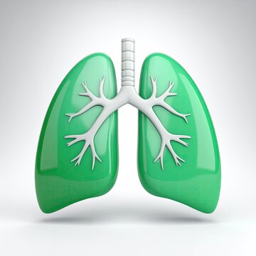 Green human lungs 3D render on white background showing respiratory system anatomy bronchus tree and pulmonary health for medical illustration