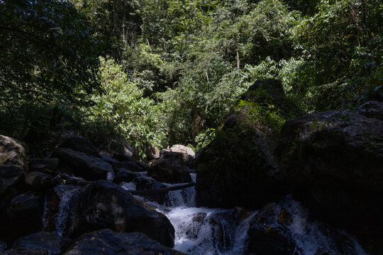 Lush tropical rainforest landscape with a fresh river stream in the Caribbean coast of Venezuela