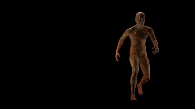 stone man, Human Anatomy Model Walking with Visible Veins and Muscles on transparent Background