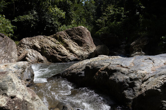 Lush tropical rainforest landscape with a fresh river stream in the Caribbean coast of Venezuela