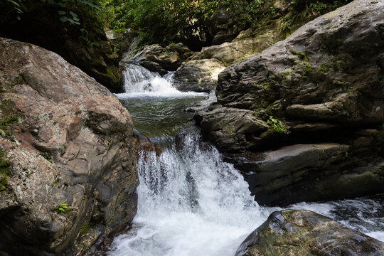 Lush tropical rainforest landscape with a fresh river stream in the Caribbean coast of Venezuela