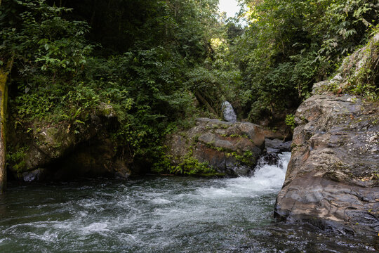 Lush tropical rainforest landscape with a fresh river stream in the Caribbean coast of Venezuela