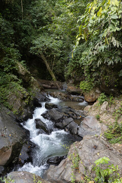 Lush tropical rainforest landscape with a fresh river stream in the Caribbean coast of Venezuela