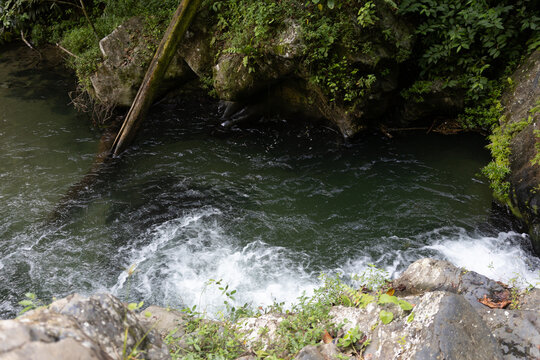 Lush tropical rainforest landscape with a fresh river stream in the Caribbean coast of Venezuela