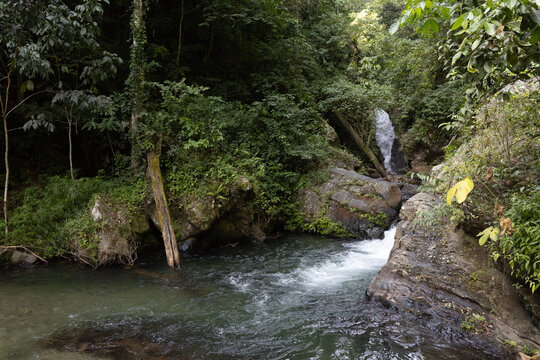 Lush tropical rainforest landscape with a fresh river stream in the Caribbean coast of Venezuela