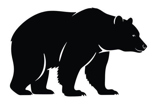 Black silhouette of a bear a powerful wildlife illustration