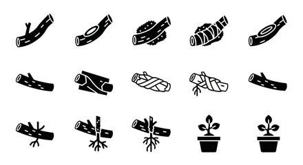 Fototapeta premium Black and white plant icons, 15 piece vector set, plant growth stages, gardening symbols, botanical illustrations