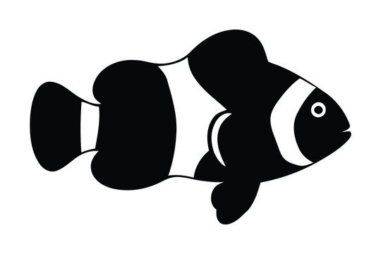 Black and white illustration of a clownfish side view simple design