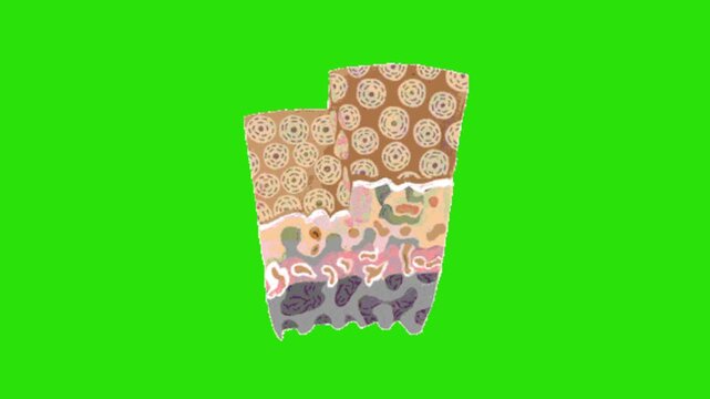 Human skin animation on green screen