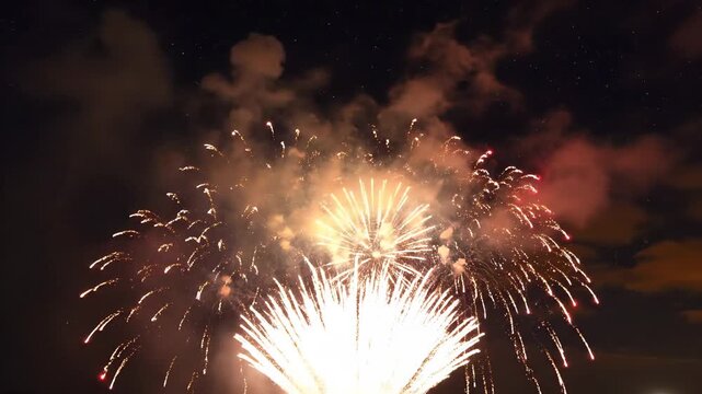 Fireworks explode in the night sky.