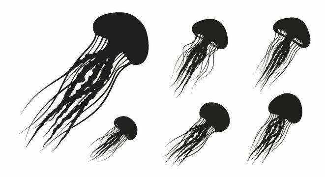 Set of six black jellyfish silhouettes with long flowing tentacles and distinct bell shapes, isolated on a white background for marine life graphics and aquatic theme illustrations.