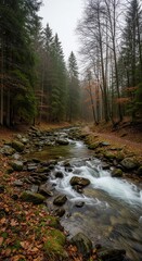 Fototapeta premium Forest Stream Flowing Through Rocky Terrain Under Cloudy Skies.