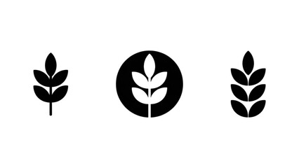 Three distinct stylized plant icons featuring leaf and wheat motifs © adobe stock 