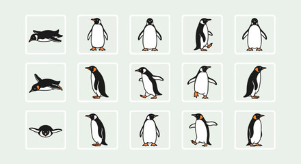 Collection of Various Penguin Illustrations. © biw