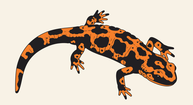 Orange and black spotted lizard crawling.