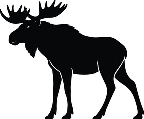 Fototapeta premium Silhouette of a majestic moose standing in profile view