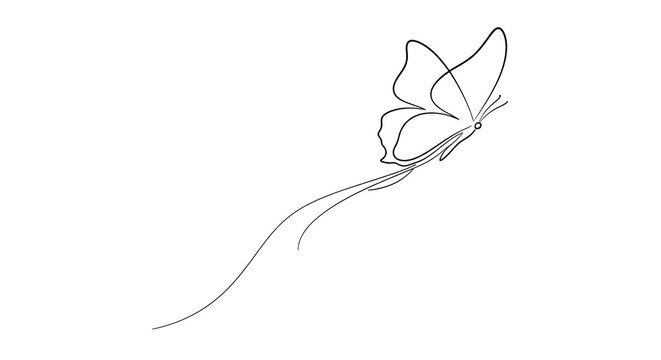 Delicate sketch of a butterfly with flowing tails representing freedom and transformation in minimalist style