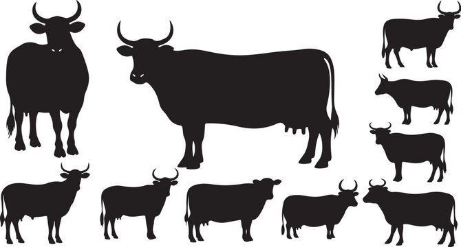 Collection of black cow silhouettes in various poses and sizes