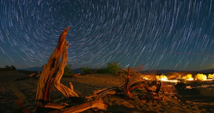 Night Sky Star Trails Tree Log Mesquite Dunes Death Valley National Park Time-lapse 4K
