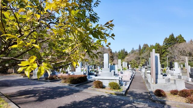 日本の霊園にある集合墓地の風景