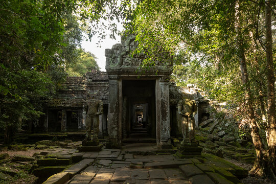 Ancient temple gate stands beneath dense green canopy, Preah Khan, Angkor, Cambodia