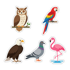 Fototapeta premium Colorful stickers of various bird species.