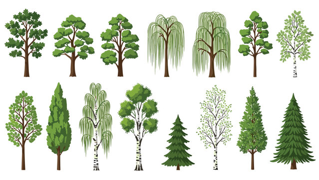 Diverse set of various green tree types including deciduous and evergreen species illustrated in a detailed vector style for landscape design.
