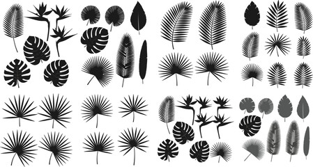 Tropical leaves and trees silhouette mega collection with palm, monstera, and botanical elements in black vector illustration set © MdYeasin