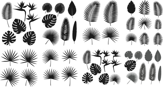 Tropical leaves and trees silhouette mega collection with palm, monstera, and botanical elements in black vector illustration set