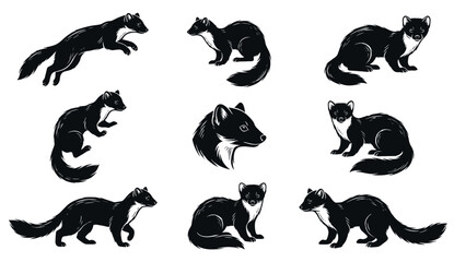 Fototapeta premium Marder tier vector set of detailed black and white wild animal silhouettes. Illustrations of marten jumping, walking, sitting and head portrait. Monochrome wildlife graphic design.