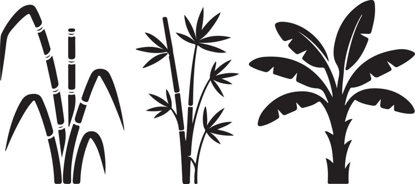 tropical plants sugarcane bamboo and banana leaves clean silhouette vector illustrations